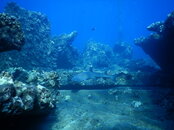 98EDFD91-3005-477D-8645-4F1C08E917C2.jpeg