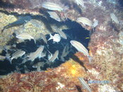 PICT0860.JPG