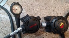 IMG_20200208_105142941.jpg