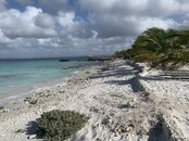IMG_2183.jpeg