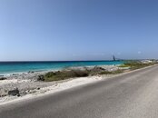 IMG_2076.jpeg