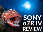 Sony_a7R_IV_Jim_Decker_Banner-SB.jpg