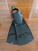 IMG_20200208_085218.jpg