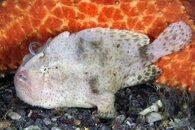 IMG_1037wa.jpg