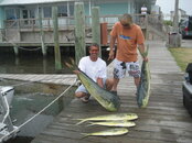 IMG_0786.JPG
