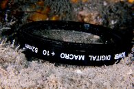 IMG_3428wa.jpg