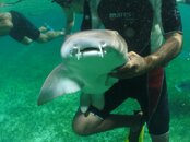 Belize 062.jpg