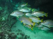 Belize 048.jpg