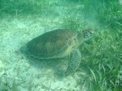 Belize 039.jpg