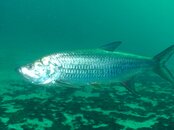 Belize 054.jpg
