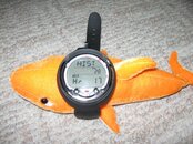IMG_6112.jpg