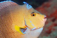 IMG_3598wa.jpg