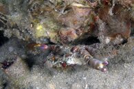 IMG_3061wa.jpg