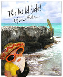 The wild side!.jpg The wild side!.jpg