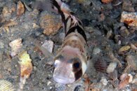 IMG_3873wa.jpg