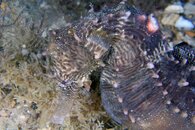 IMG_3756wa.jpg