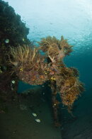 Bali_11_Jan_Ahmed_D03_138_med.jpg