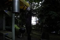 DSC04982.jpg