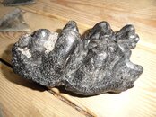 DSC02373.jpg