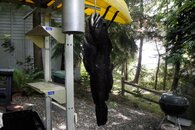 DSC04993.jpg