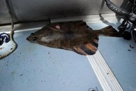DSC04997.jpg