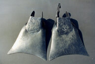 forcefin-scans262-fw.jpg