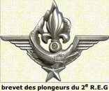 2°REG brevet Dinops (argent uniquement 50ex num, 50ex non num).jpg