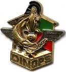 6°REG-DINOPS 2.jpg