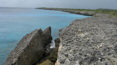 Bonaire Land 2011 094.jpg