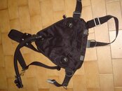 DSC07527.jpg