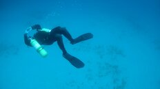 IMG_0017.JPG