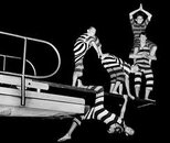 dive2.jpg
