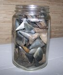 charleston+sc+scuba+club-picture95151-my-shark-tooth-frag-jar.jpg