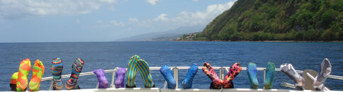 loving oceans of fun and color.jpg