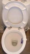 toilet.jpg