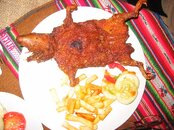 4. guinea pig.jpg