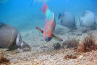 IMG_2544wa.jpg