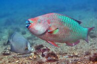 IMG_2545wa.jpg