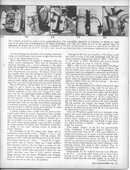 SkinDiverMag-Dec1967_5.jpg