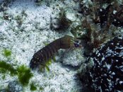 IMG_2274.jpg