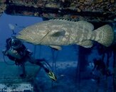 Timg_1224-43-Edit.jpg