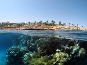 Hyatt - Sharm.jpg