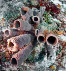 aP1010087.jpg