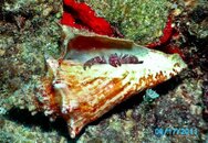 PICT0413-2.jpg