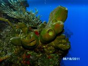 PICT0105.jpg