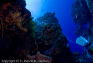 BP1010026.jpg