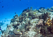 BP1010041.jpg