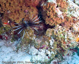 BP1010046.jpg