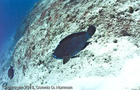 BP1010057.jpg