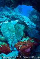 BP1010071.jpg
